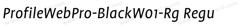 ProfileWebPro-BlackW01-Rg Regular字体转换